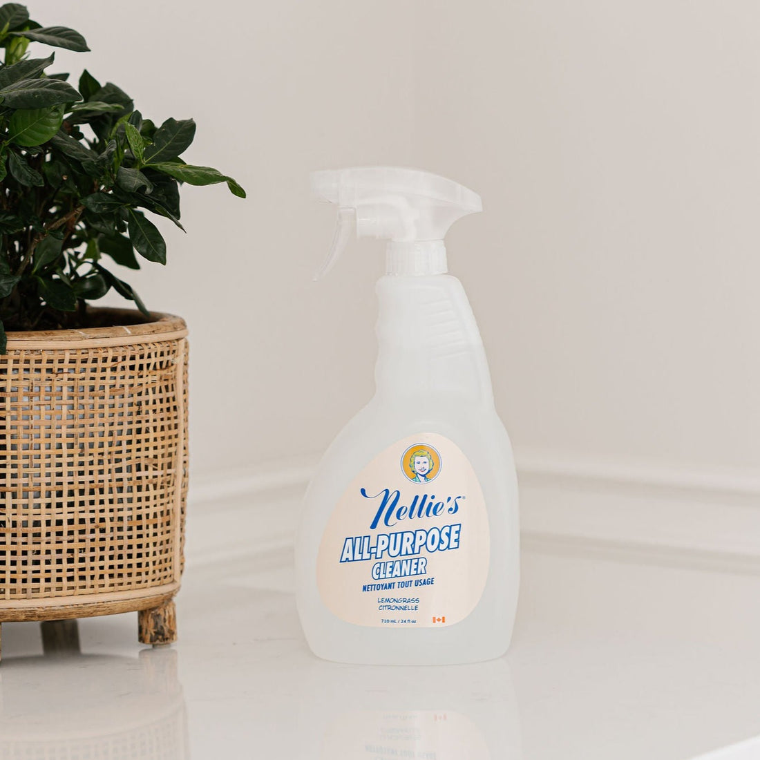 All-Purpose Cleaner