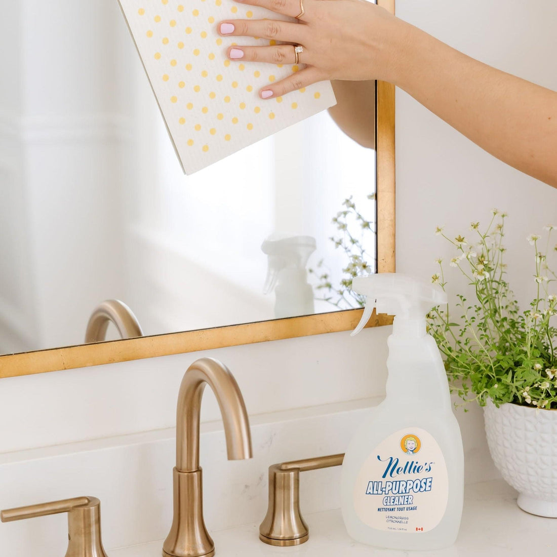 All-Purpose Cleaner