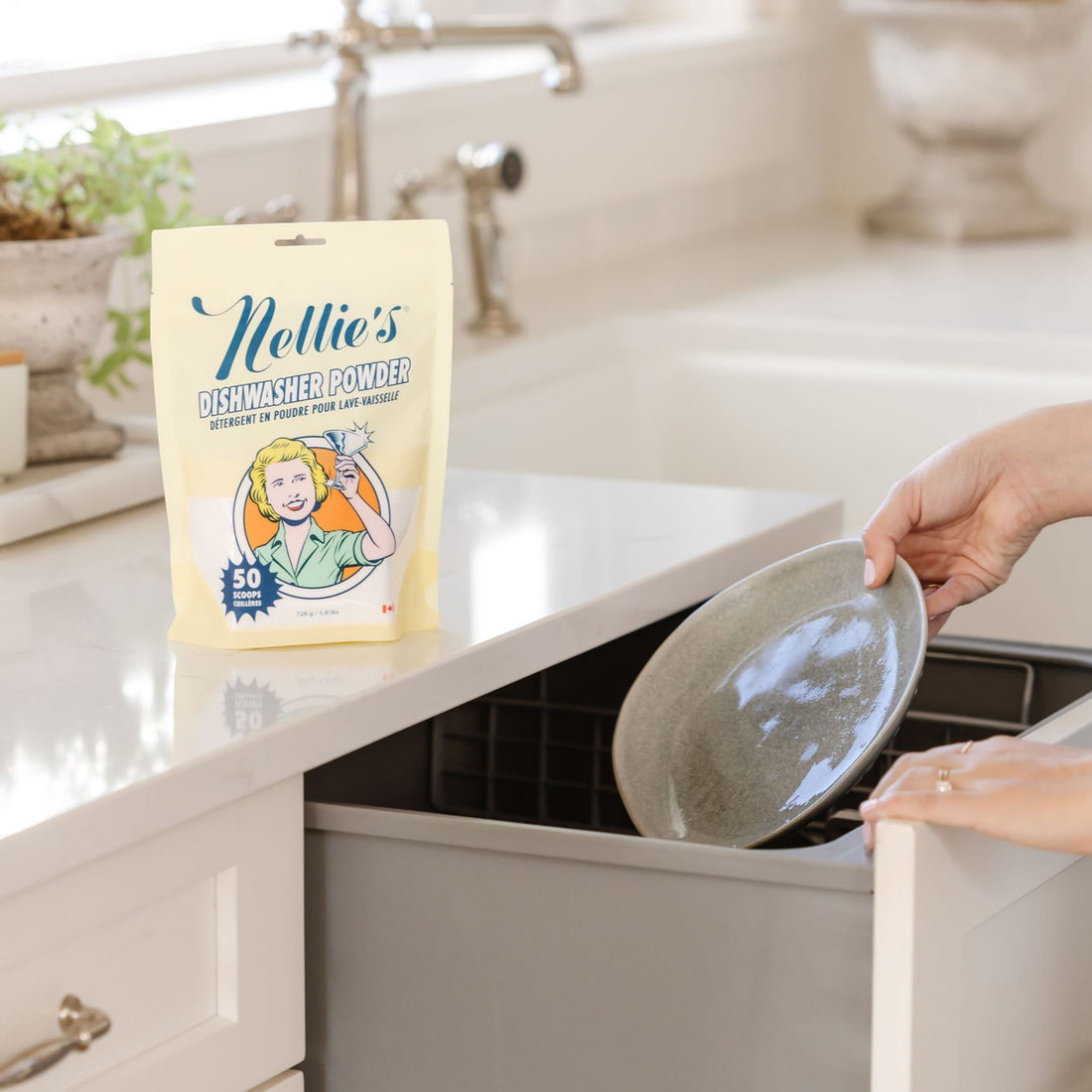 Dishwasher Powder