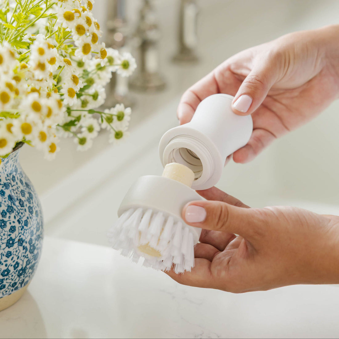 Dish Stick Refill 5  Pack