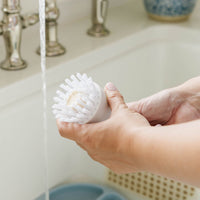 Dish Stick Starter Kit