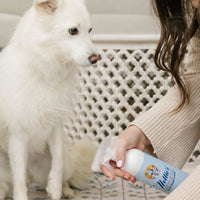 Pet Stain and Odour Remover