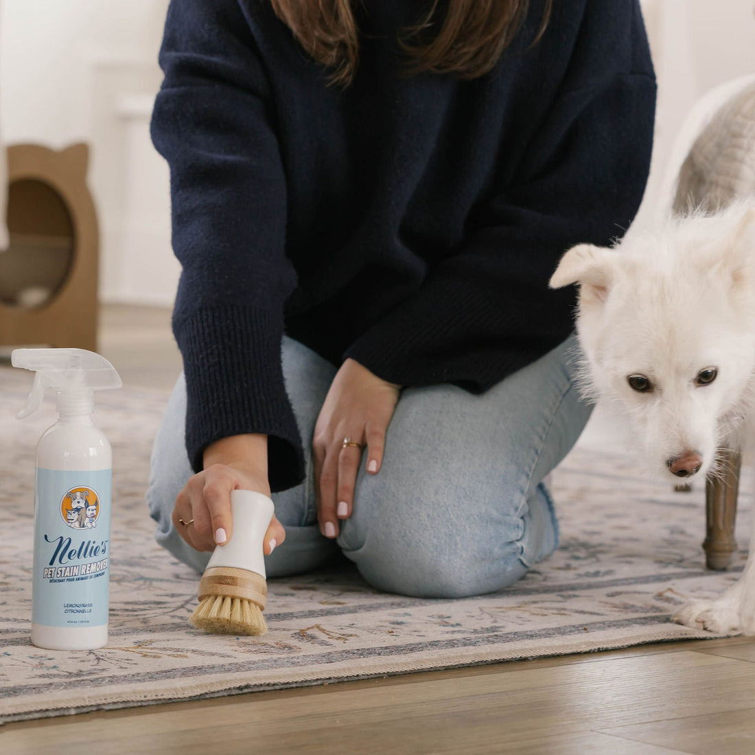 Pet Stain and Odour Remover