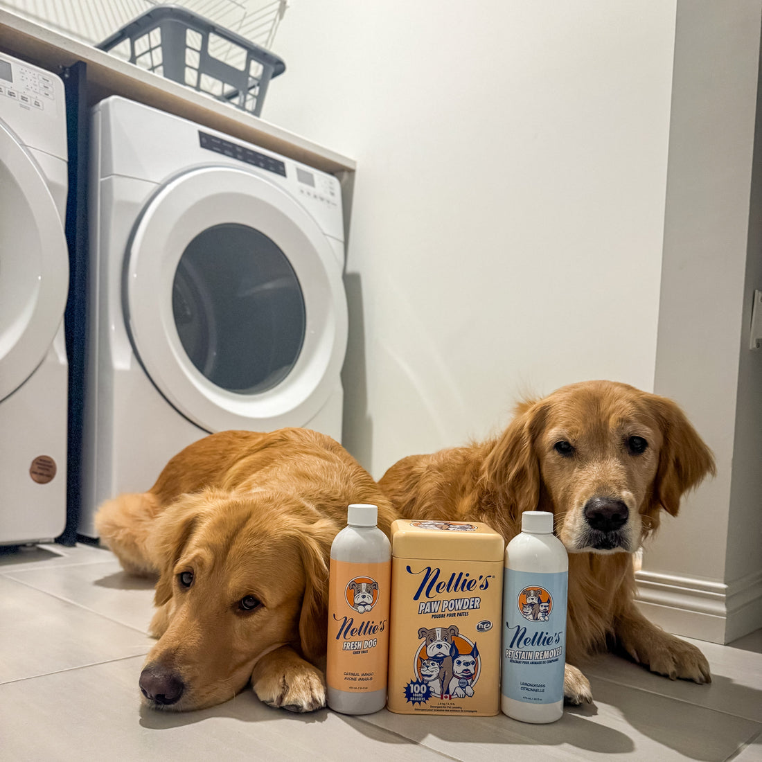 Pet Stain and Odour Remover