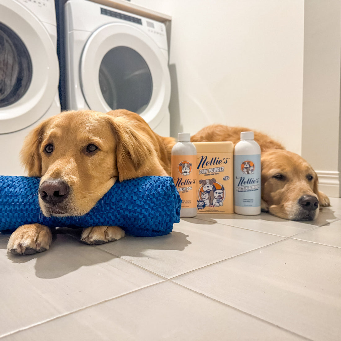 DBL DRY Dog Towel