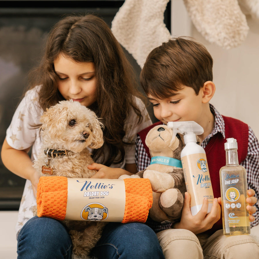 Children with god, dog wash, multi-use liquid soap, Wrinkles stuffed toy and microfibre dog drying towel